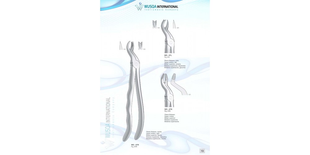 Extracting Forceps